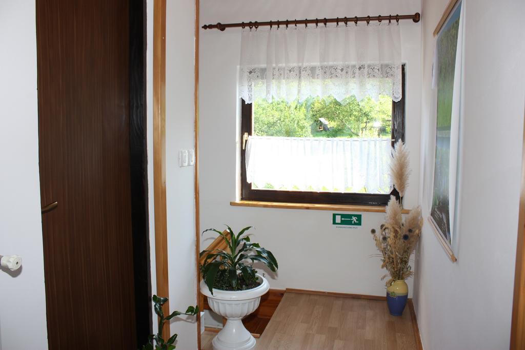 Apartment Jelena Seliste Dreznicko Ruang foto