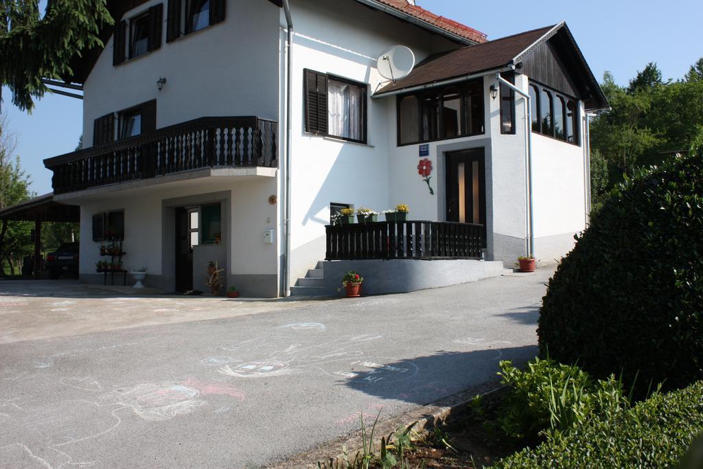 Apartment Jelena Seliste Dreznicko Ruang foto