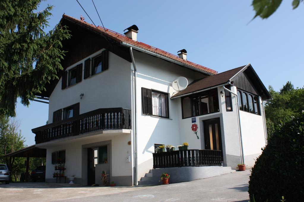 Apartment Jelena Seliste Dreznicko Ruang foto