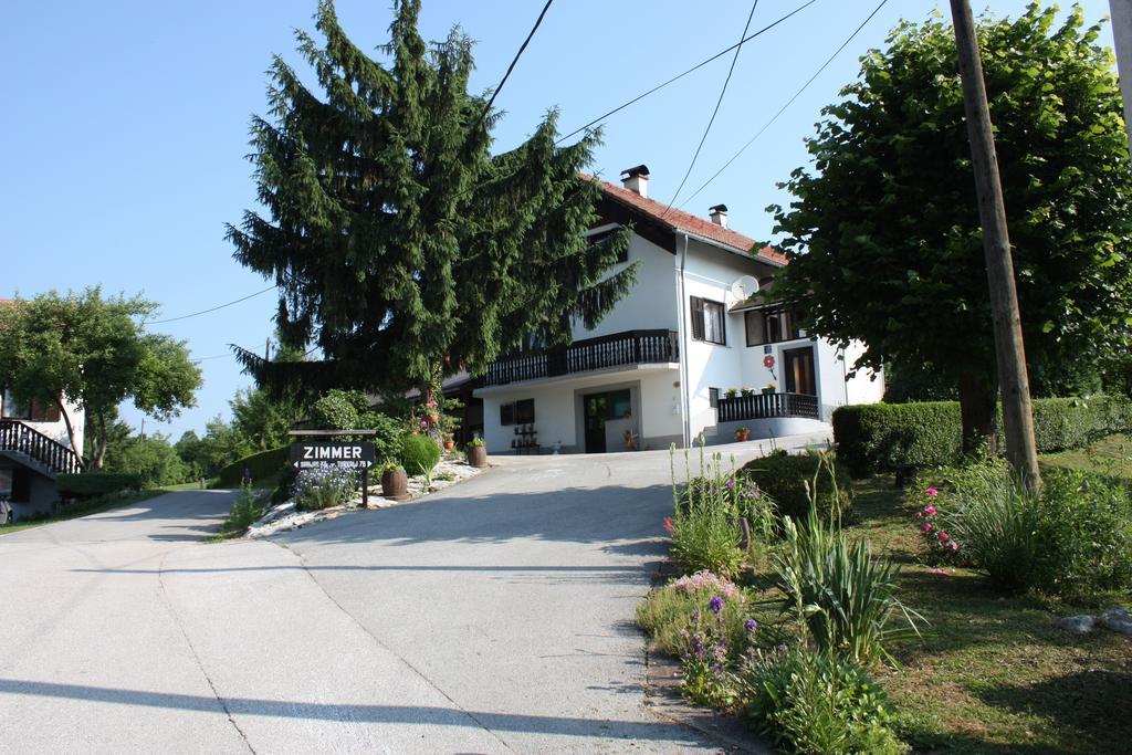Apartment Jelena Seliste Dreznicko Ruang foto