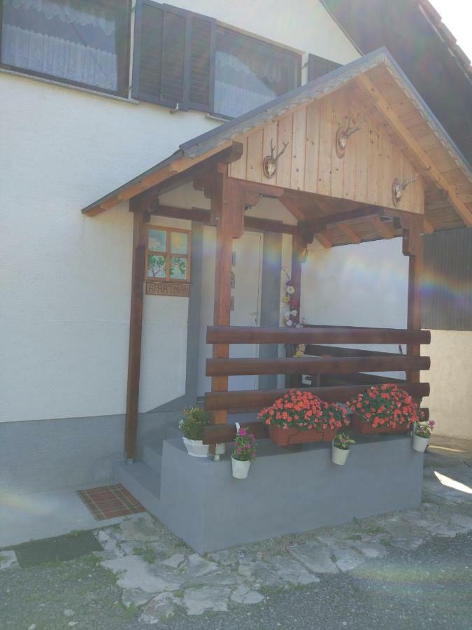 Apartment Jelena Seliste Dreznicko Bagian luar foto